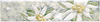 A1351/6000������ ��������� 54�250�� - ��������� - ������������ ������ KERAMA MARAZZI