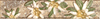 C1343/4124������ ��������� 77�402�� - ��������� - ������������ ������ KERAMA MARAZZI