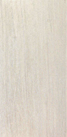 SG202800R   300600 -  