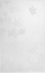 6150���� ���� ����� 250�400�� - ���� ���� - ������������ ������ KERAMA MARAZZI