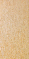SG200800N  300600 -  