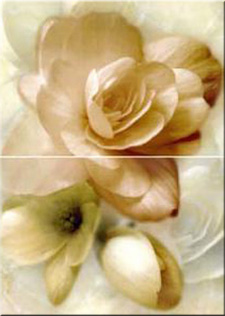 Декор Romance Crema 63,2х45