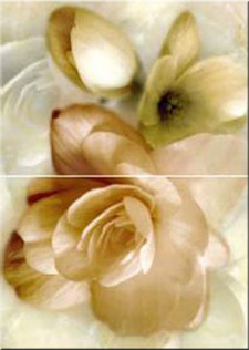 Декор Romance Perla 63,2х45
