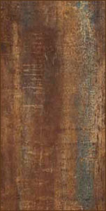 ������������ Oxidium Orange 30x60 ��