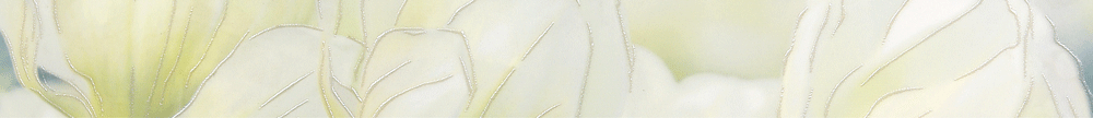 Gracia Ceramica Rapsodia Olive Border 01 25x60